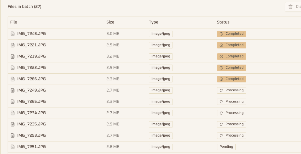 Batch Processing Interface